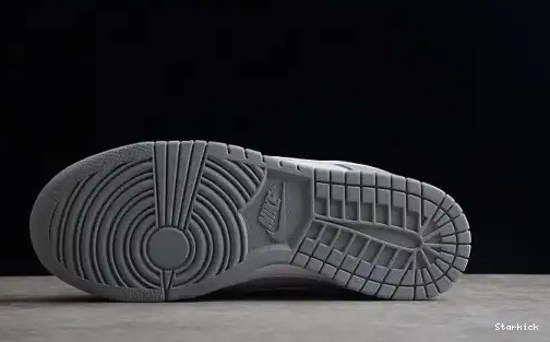 Dunk Tone Two NNike Low DJ6188-001 Grey 0608
